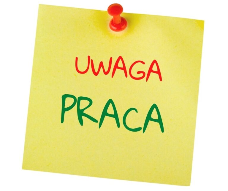 Zatrudnimy nauczyciela!